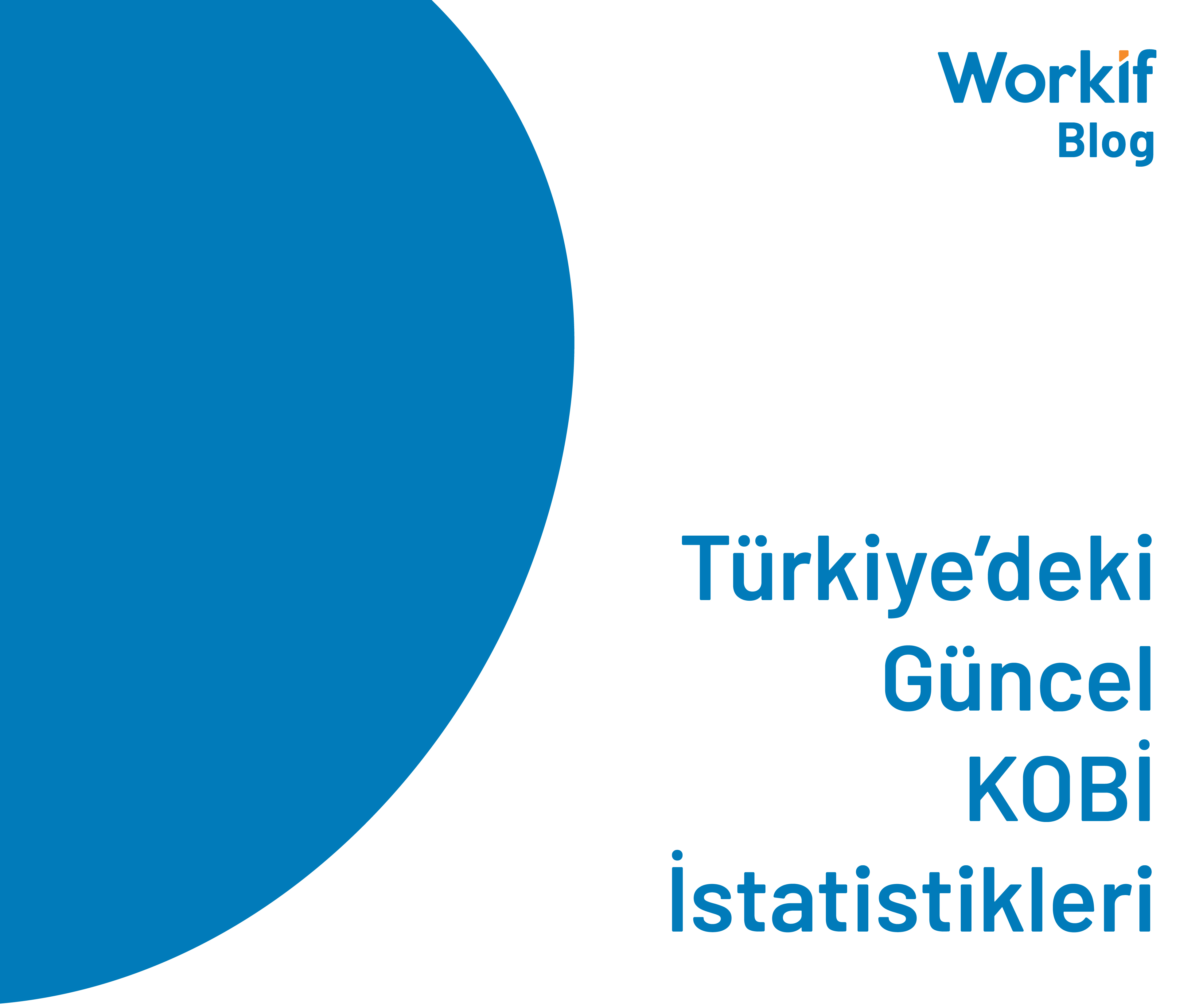 Türkiye KOBİ İstatistikleri